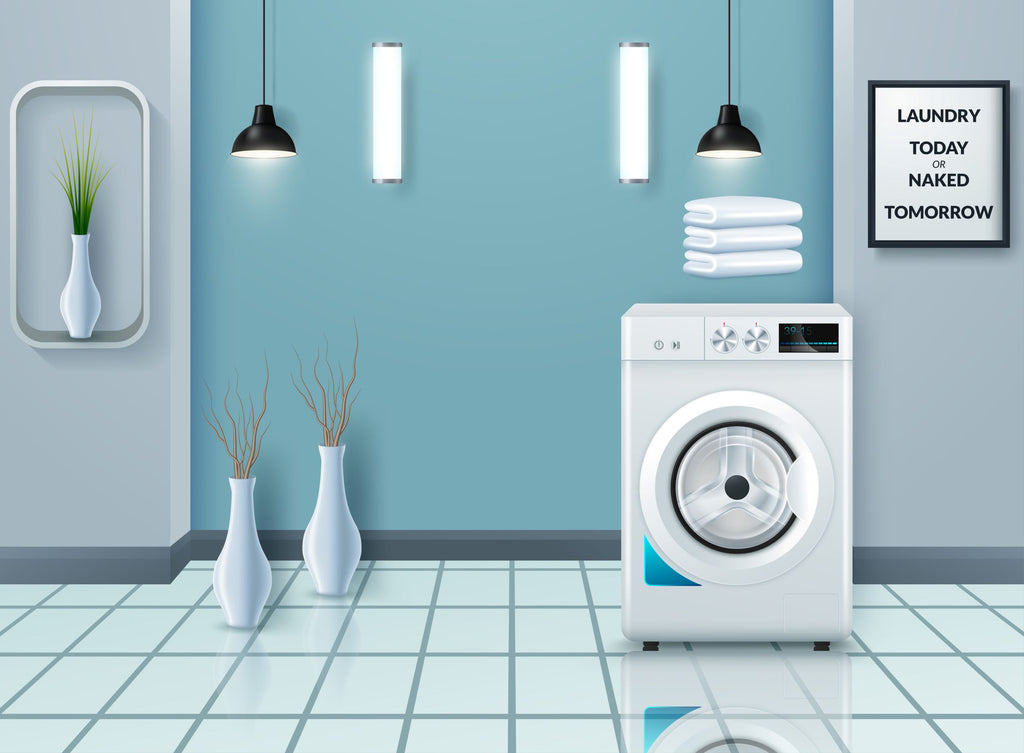 laundry room in blue with plants and one wash machine
